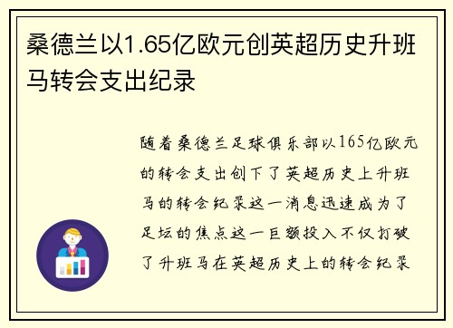 桑德兰以1.65亿欧元创英超历史升班马转会支出纪录
